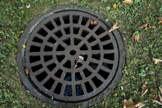 Drainage Detectives: Solving Clogs Across Philadelphia