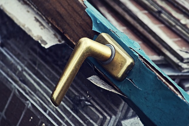 Trash Titans: Philadelphia's Best Dumpster Rental Services