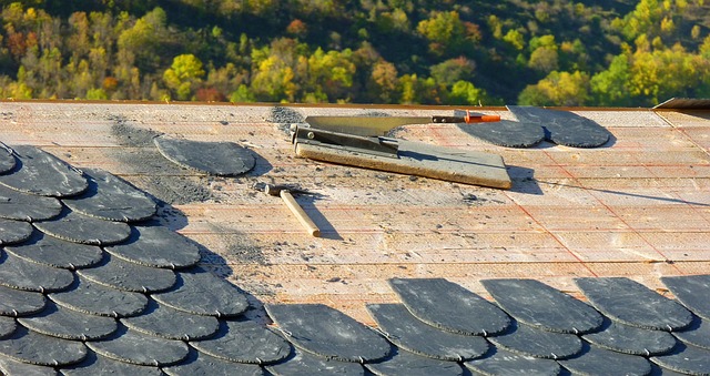 Residential Roofing Excellence: What Makes the Best Roofer Stand Out in Carroll County