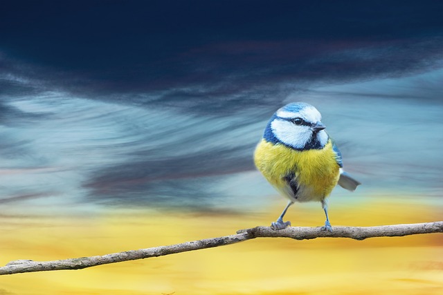 Liberty Bell Beatsmiths: Crafting Musical Magic at Jamtown Jams