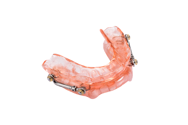 Appliance Artisans: Crafting Solutions for Your Home Gadgets